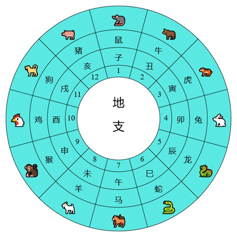 天干地支時間|《天干地支》對照表及運用方法